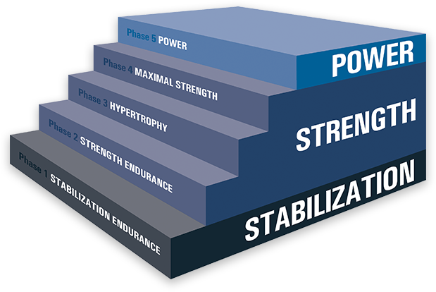 Nasm Max Rep Chart