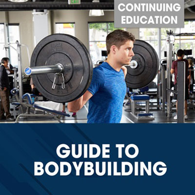 Guide to Bodybuilding