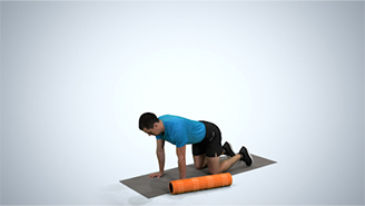 Foam Roll: Adductors