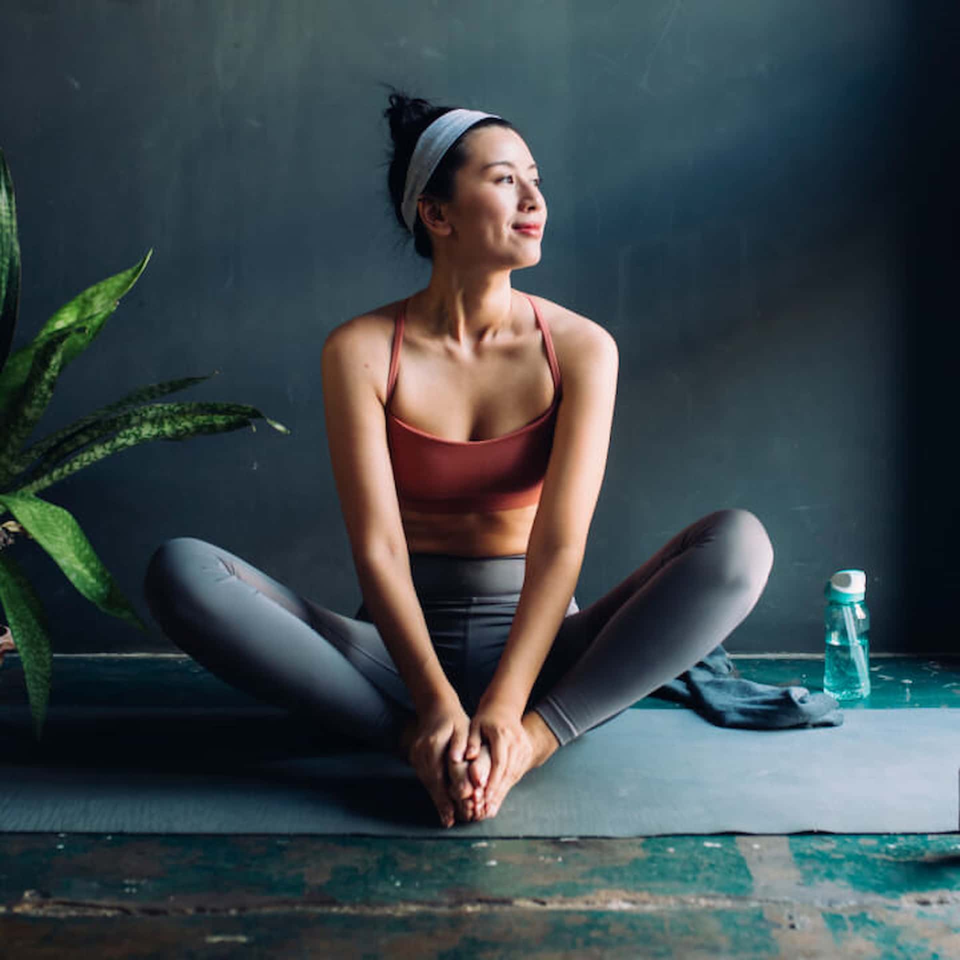 Ultimate Health and Wellness Bundle - Begin Your Career in Wellness Today!