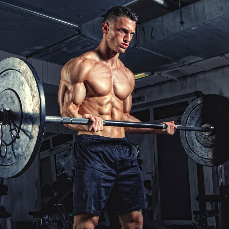 Male Bodybuilding NASM trainer lifting weights
