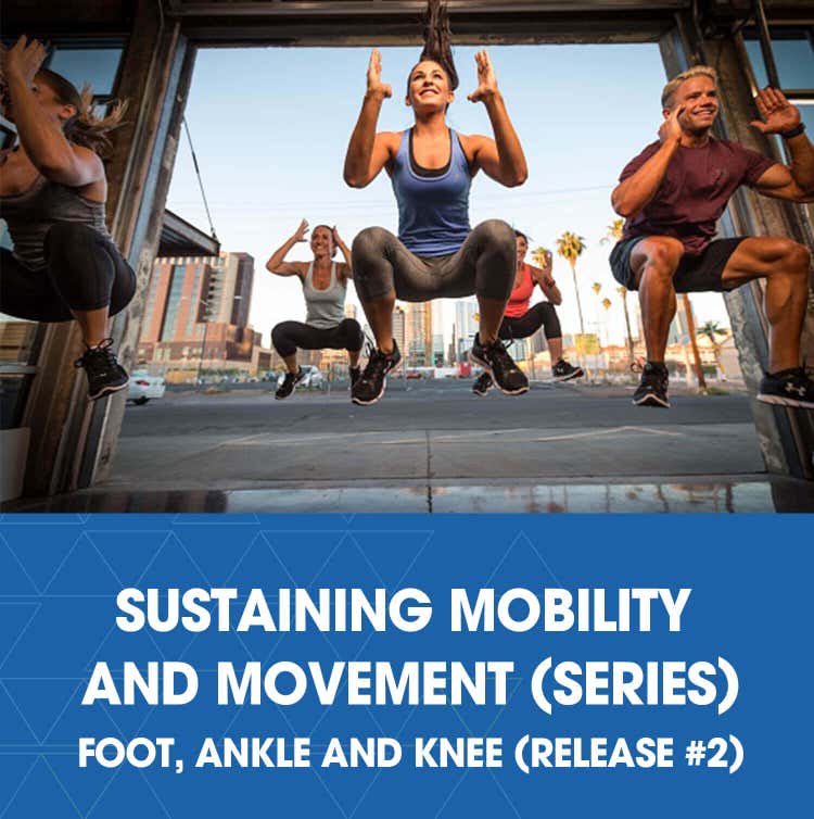 sustaining-mobility-movement-foot-ankle-and-knee