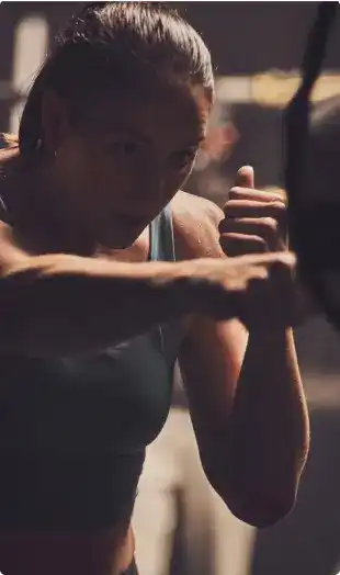 Elite Trainer Bundle