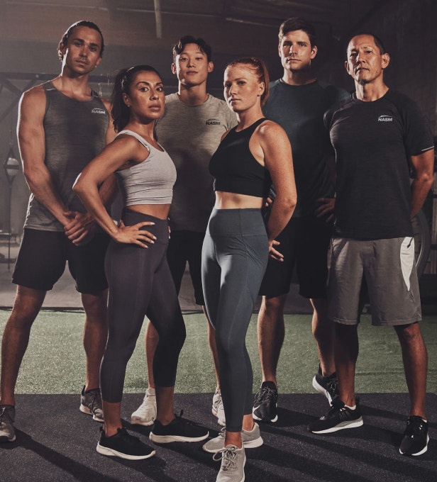 NASM ONE