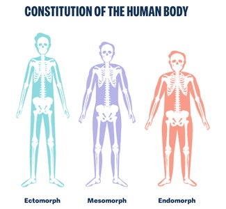 Constitution of the Human Body (3 types)